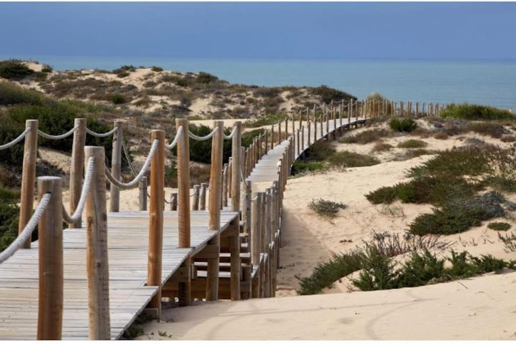 Sea Of Rome - Holiday Home Lido di Ostia Exterior photo