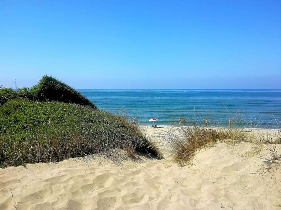 Sea Of Rome - Holiday Home Lido di Ostia Exterior photo